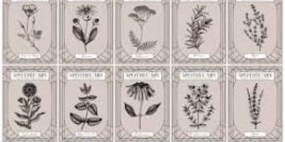 fond de commerce à ANDERNOS LES BAINS (33510)